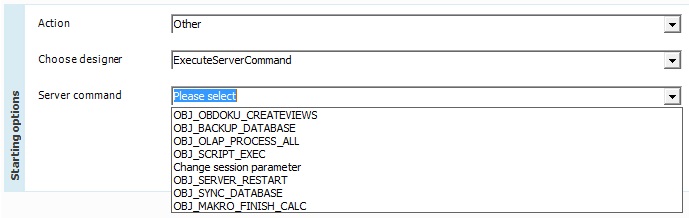 File:Fw action ExecuteServerCommand setting.jpg